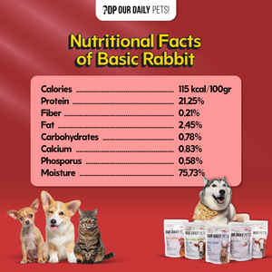 00a1f5ca-b98b-4a33-99d4-40488d4d3967-Basic Rabbit MP 8.png