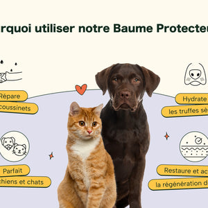 Baume Protecteur et Réparateur