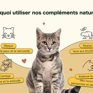 Friandises Naturelles Apaisantes Chat