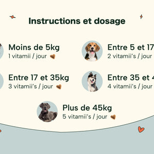 Friandises Naturelles Immunité et Anti-Démangeaisons