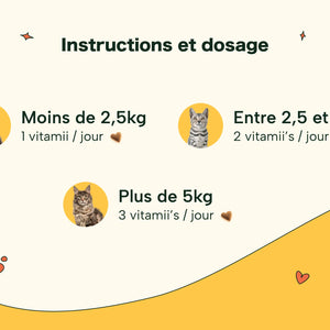 Friandises Naturelles Immunité et Anti-Démangeaisons Chat