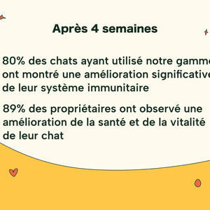 Friandises Naturelles Immunité et Anti-Démangeaisons Chat