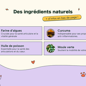 Friandises Naturelles Articulations