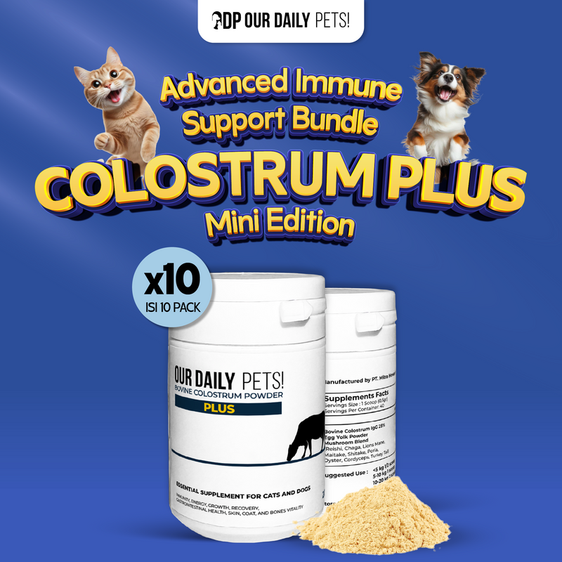 10 pcs | Mini Bovine Colostrum Plus Powder With Mushroom Blend for Pets 20grams (Dog & Cat)