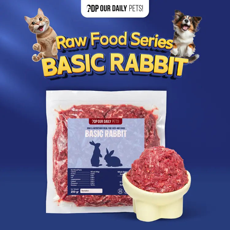 Basic Rabbit