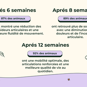 Friandises Naturelles Articulation Chat