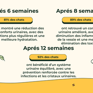 Friandises Naturelles Système Urinaire Chat