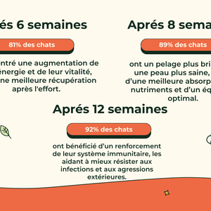 Friandises Naturelles Multivitamii's Chat