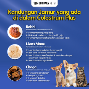 1b4476aa-d8d4-49b0-94f8-4405f018a2f9-Colostrum Plus Mini Edition - MP 9.png