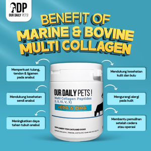 1f70d94c-0b26-4f2b-bb81-bc7266469857-Multi Collagen - MP 3.png