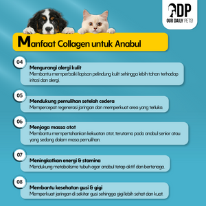210690c5-aa70-4924-bde7-26bb7a05c356-Multi Collagen - MP 5.png