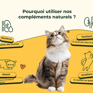 Friandises Naturelles Système Urinaire Chat