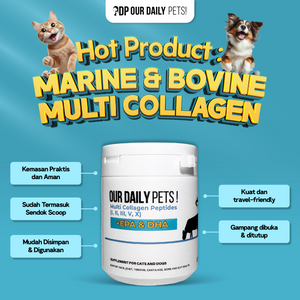 2e2e234c-9c33-4aa9-9bd4-04f463ffa0b2-Multi Collagen - MP 6.png