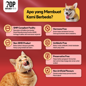 319948d0-2dda-4d2b-8092-3ef66438f6bc-Basic Rabbit MP 7.png