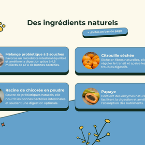 Friandises Naturelles Santé Intestinale