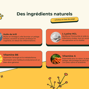 Friandises Naturelles Multivitamii's Chat