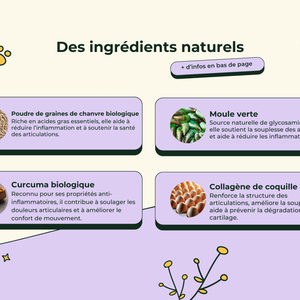 Friandises Naturelles Articulation Chat