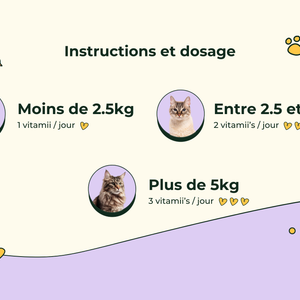Friandises Naturelles Articulation Chat