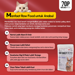 5111a35a-472f-4e8b-9a3d-c1ffb277fe4c-Basic Rabbit MP 4.png