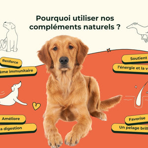 Friandises Naturelles Multivitamii's