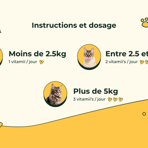 Friandises Naturelles Système Urinaire Chat