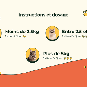 Friandises Naturelles Multivitamii's Chat