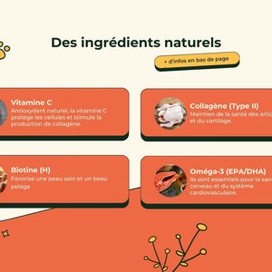 Friandises Naturelles Multivitamii's