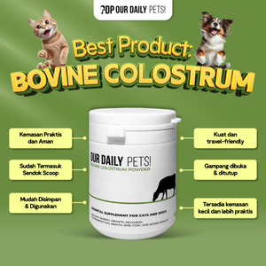 7a3d8a89-6af0-48eb-9bf6-277f6cd96cb5-Colostrum Reguler - MP 6.png