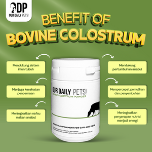 83579383-a378-47b0-89c8-705fb65f6caf-Colostrum Reguler - MP 3.png