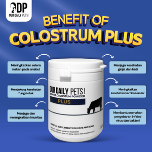 89125e1f-6b37-477b-b20c-61ff1bc29966-Colostrum Plus - MP 3.png