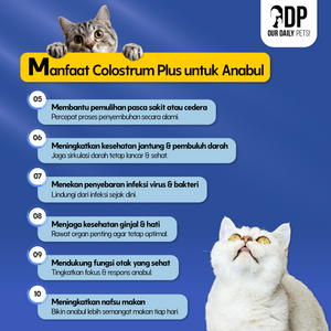 9f18890a-3a35-4333-a301-6e87309a404b-Colostrum Plus Mini Edition - MP 5.png
