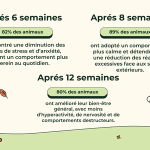 Friandises Naturelles Apaisantes