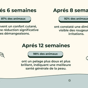 Friandises Naturelles Immunité et Anti-Démangeaisons