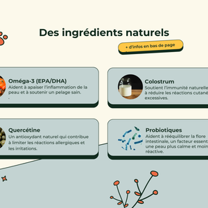 Friandises Naturelles Immunité et Anti-Démangeaisons