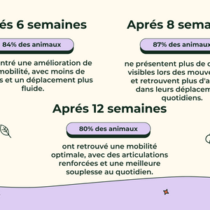 Friandises Naturelles Articulations