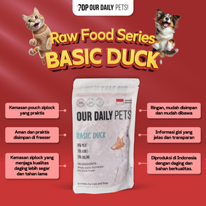 a4969ce4-eb36-4ca0-ac8e-4a2b85c364c4-Basic Duck MP - 6.png