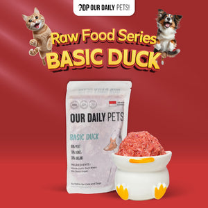 Basic Duck