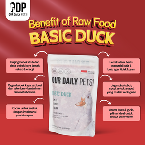 bfef46dc-4fe8-4d2b-a8b6-3ca80d752448-Basic Duck MP - 3.png