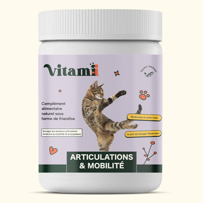 Friandises Naturelles Articulation Chat