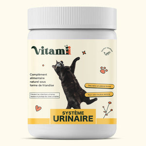 Friandises Naturelles Système Urinaire Chat