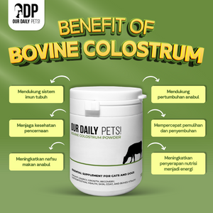 cdc0ed0f-8031-4280-8f88-31d5b64119fb-Colostrum Reguler - MP 3.png