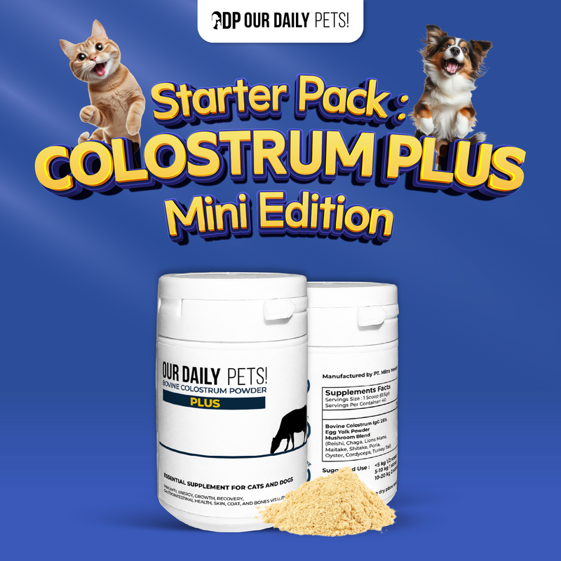 Bovine Colostrum Plus Powder With Mushroom Blend for Pets 20gram (Dog & Cat)