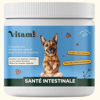 Friandises Naturelles Santé Intestinale