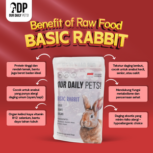 e6a23b5c-113f-46b7-8b0f-7c0ec8d5ed58-Basic Rabbit MP 3.png