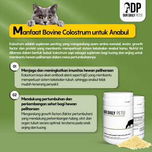 fa55d3a5-2365-44a5-83cc-50938146e958-Colostrum Reguler - MP 4.png