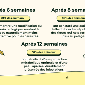 Friandises Naturelles Puces & Tiques