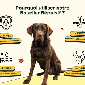 Friandises Naturelles Puces & Tiques