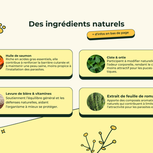 Friandises Naturelles Puces & Tiques